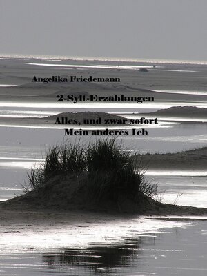 cover image of 2-Sylt-Erzählungen